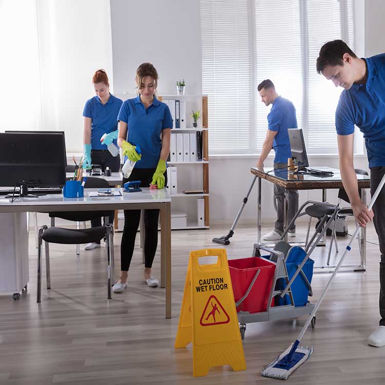 Tägliche Reinigung Cleaning Company Solutions
